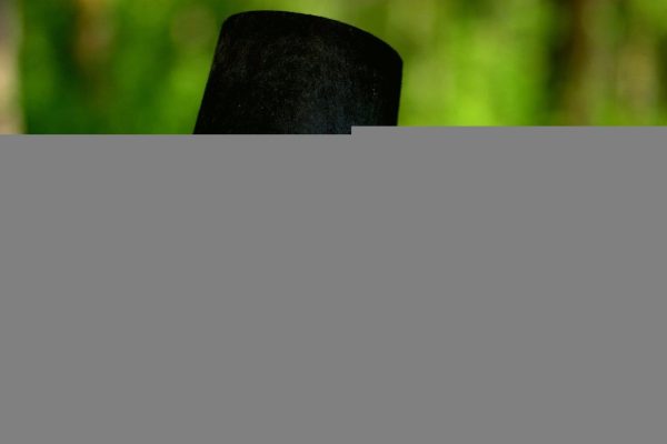 亚洲博彩公司深度解析：德州扑克战局洞察与策略应对全指南
